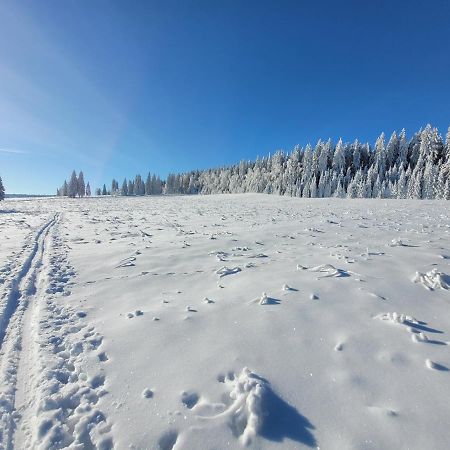 Apartman Spa Sumava Zdikov Екстер'єр фото