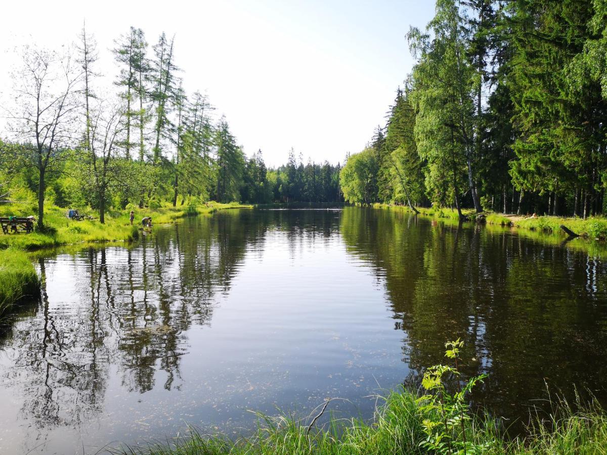 Apartman Spa Sumava Zdikov Екстер'єр фото